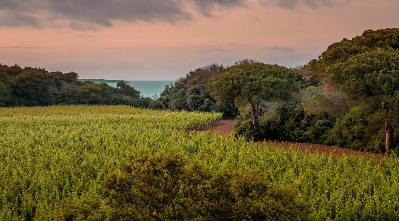 Masseria Mongio Dell'Elefante أوترانتو المظهر الخارجي الصورة