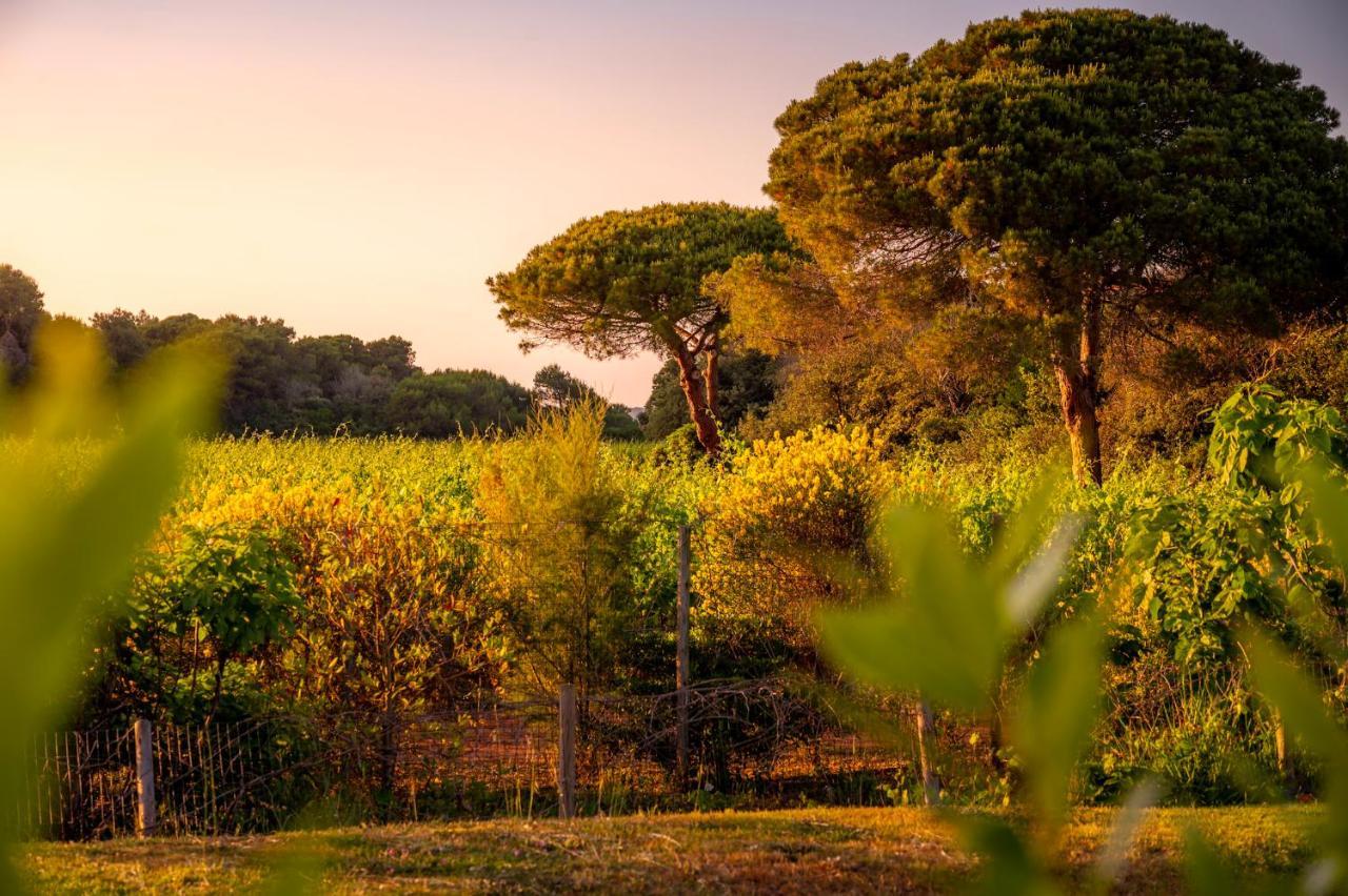 Masseria Mongio Dell'Elefante أوترانتو المظهر الخارجي الصورة
