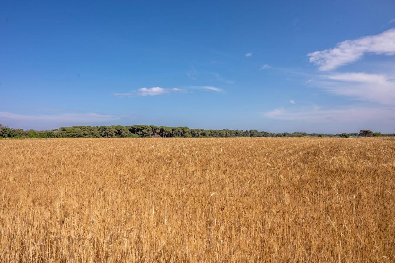 Masseria Mongio Dell'Elefante أوترانتو المظهر الخارجي الصورة