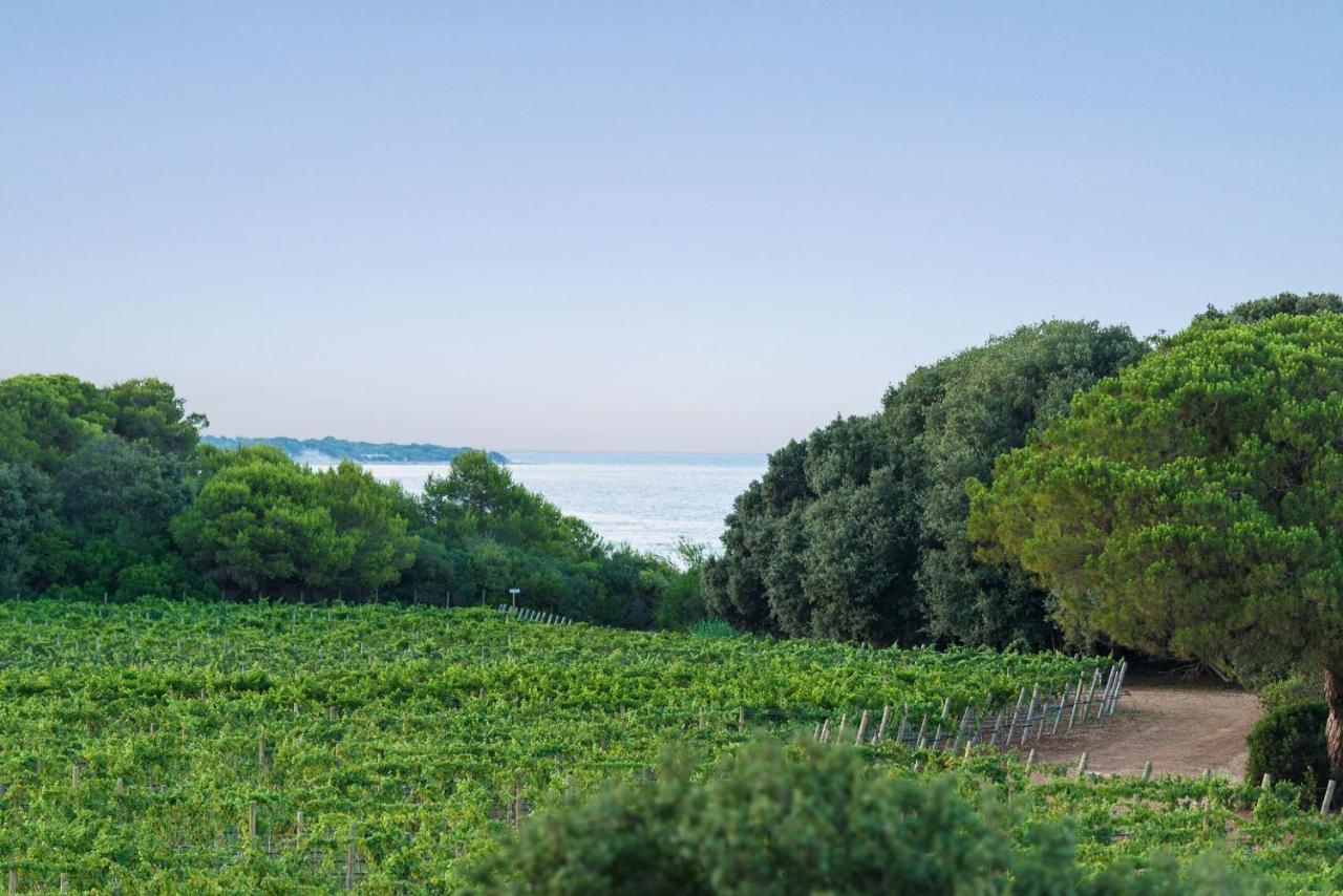 Masseria Mongio Dell'Elefante أوترانتو المظهر الخارجي الصورة